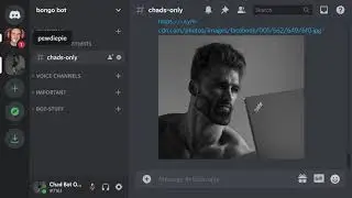 When You're a Discord Bot Developer