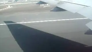 Flew away.AVI