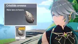 Sand Grease Pupa Locations -GenshinImpact farming route