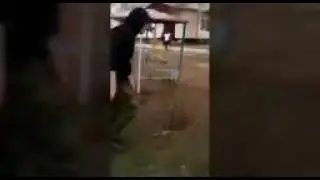 Канай...