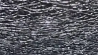 ежик чихнул 2021