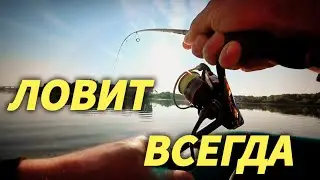 Catches EVERYTHING, ALWAYS!!! Tail-Spinner SUPER Lure. Fishing on the Oka River.
