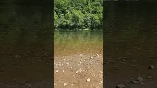 #fishing #fish #fishinglife #brothersweb  #bassfishing #nature #outdoors #carpfishing #fishingis