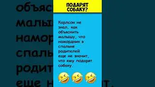 ПОДАРЯТ СОБАКУ 😎 Самые смешные анекдоты про Карлсона #shorts