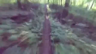 Терраски, Малиновая гряда