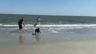 molly 1080p