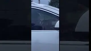 Ребенок с игрушечным автоматом, из-за которого машину остановила полиция