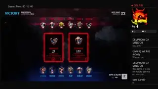 Playing paladins