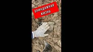 КОП ПО ВОЙНЕ. 87 лет состояние как новое/87 years later, and the condition of the items is as new.