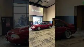[Pit+Paddock Mustang Day Race Cars! #Mustang #racecar #Shelby #mustangshelby #shortsviral #short #YT