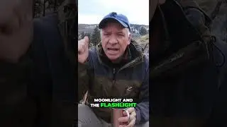 Unexplained Nocturnal Sighting | What Did He See?