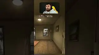 LOYLAR 