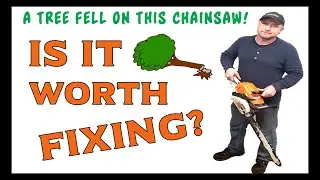 A Tree Fell On This Chainsaw - Is It Worth Fixing?