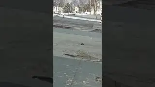 Очень дикие школьники 2чясть