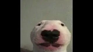 Пилот Делвиг а.к.а Бог