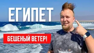 Египет. Бешеный ветер! Шторм. Пляж отеля Royal Albatros Moderna. Обзор питания. Отдых Шарм