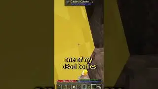 Don't Pay Attention to Him #minecraft #funny #shorts