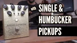 Fender Pugilist Distortion with Fender & Gibson