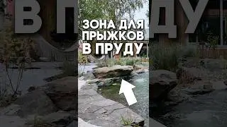 Пруды для прыжков в воду