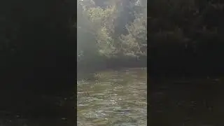 Проблески рассвета.....
