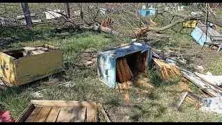 How the Russians bombed my apiary