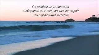 Матфея 7 1 27
