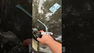 What kind people @roma.kh21