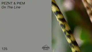 PEZNT & PIEM - On The Line