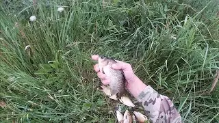 Взяли Удочки! И Поехали Добывать Карася На Жареху! И В Гараж!