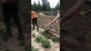 Окучиватель для картошки своими руками