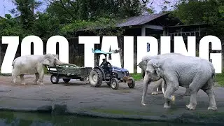 Zoo Taiping