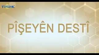 Pîşeyên Destî