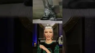 Совет 