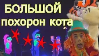 Жил Умный Чёрный кот! Мяу Мяу Звезда!