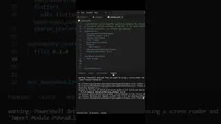 Shared Preferences Error On pub get |Flutter Tips part  3