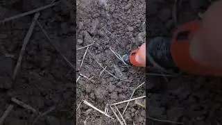 Находка ч.260🔥🔥 