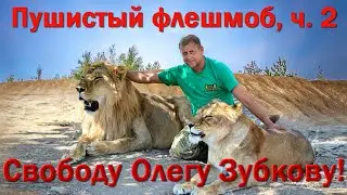 Пушистый флешмоб в поддержку Олега Зубкова   Часть 2
