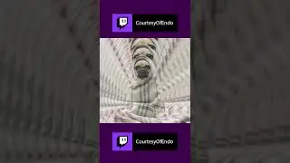 Worship the Pug in a Rug