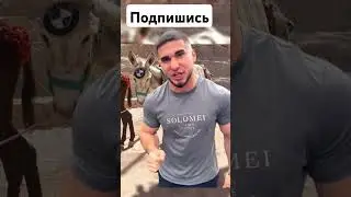 это моя машина 🚘 🤣 #рекомендации #игры #юмор #мем #tiktok  #mobilegame #games #shorts #врек #тренд