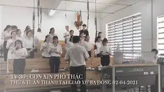 TV 30 : CON XIN PHÓ THÁC - CA ĐOÀN TERESA GIÁO XỨ BA ĐÔNG