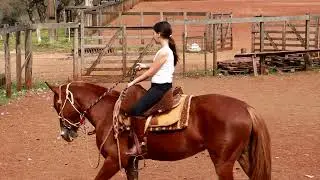 PRIMEIRAS AULAS DE CAVALGADA | Lar Rizzon