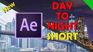 DAY TO NIGHT Short Effects - 2021