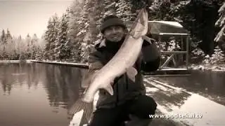 Рыболовная школа
