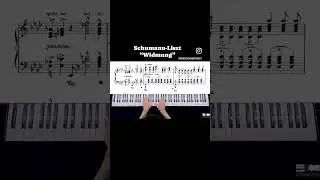 Schumann-Liszt “Widmung”