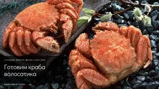 Готовим краба волосатика