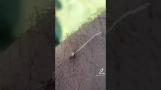 Наставление братья
