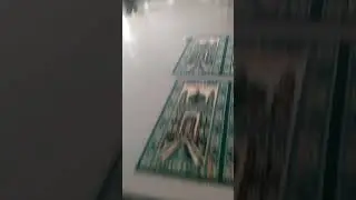 di masjid pacitan