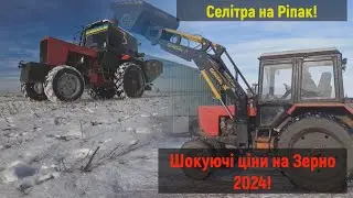 Grain prices in 2024 are at their lowest point! We are loading Sunflowers with a General X Forkli...