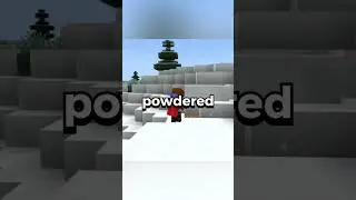 The Most OP Minecraft Item