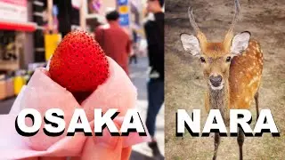 NARA & OSAKA